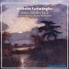 Mathias Wollong - Violin Sonata No. 2:II. Lento, andante e cantabile