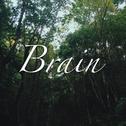 brain专辑