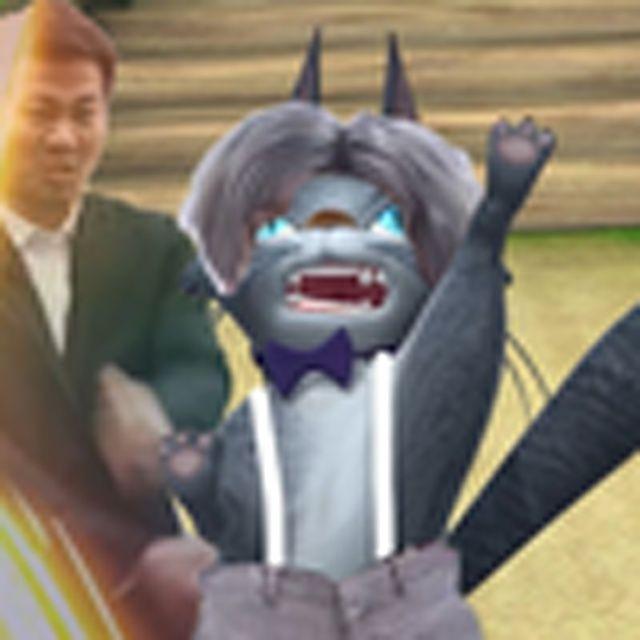 梅狸猫训练营
