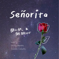 Senorita 和声 全鼓力5版 降半调