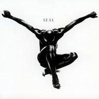 Don't Cry - Seal (Karaoke Version) 带和声伴奏