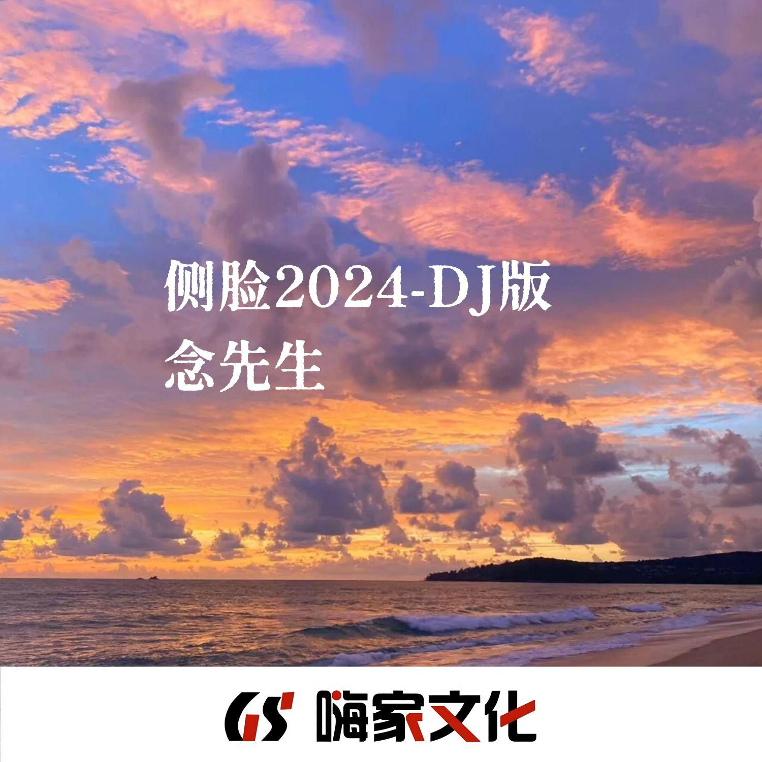 侧脸2024（DJ版）