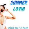 Groovy Nilo - Summer Lovin