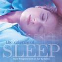 The Science of Sleep专辑