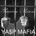 【FREE BEAT】Young Prison(pord Young Hitz)专辑