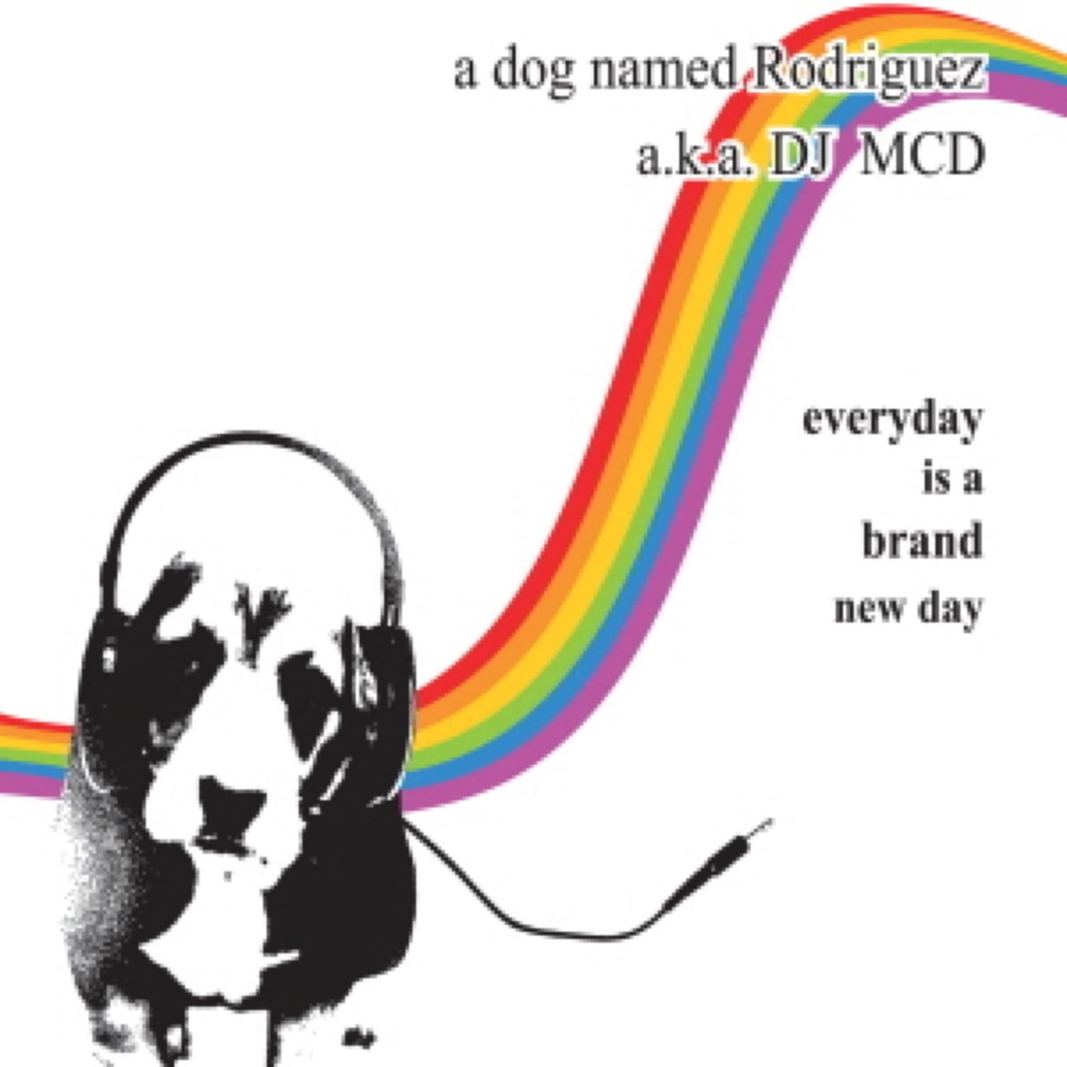 Every Day Is A Brand New Day