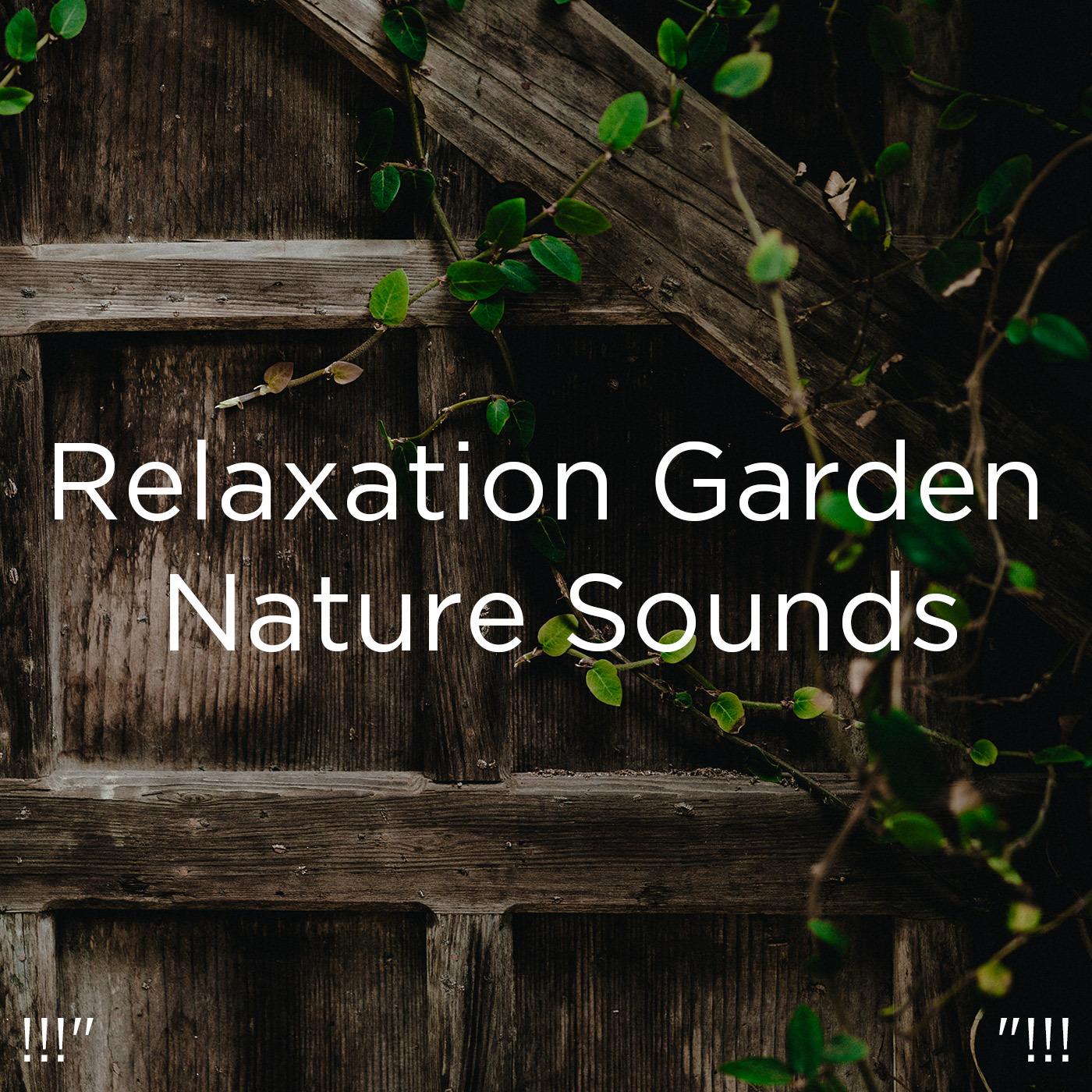 !!!" Relaxation Garden Nature Sounds "!!!