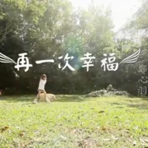 郑心羽-再一次幸福  立体声伴奏 （降5半音）