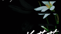 兰花草专辑