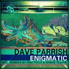 Dave Parrish - Enigmatic (Fractious Remix)