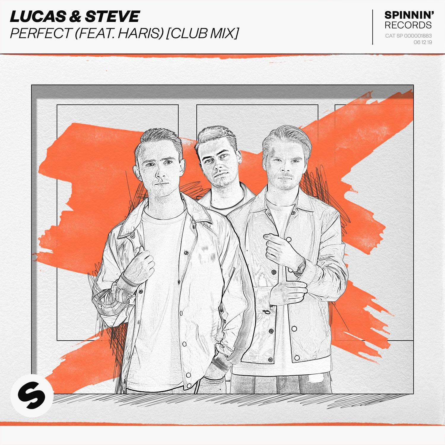 Perfect (feat. Haris) [VIP Mix]