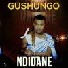 Gushungo - Pindirai