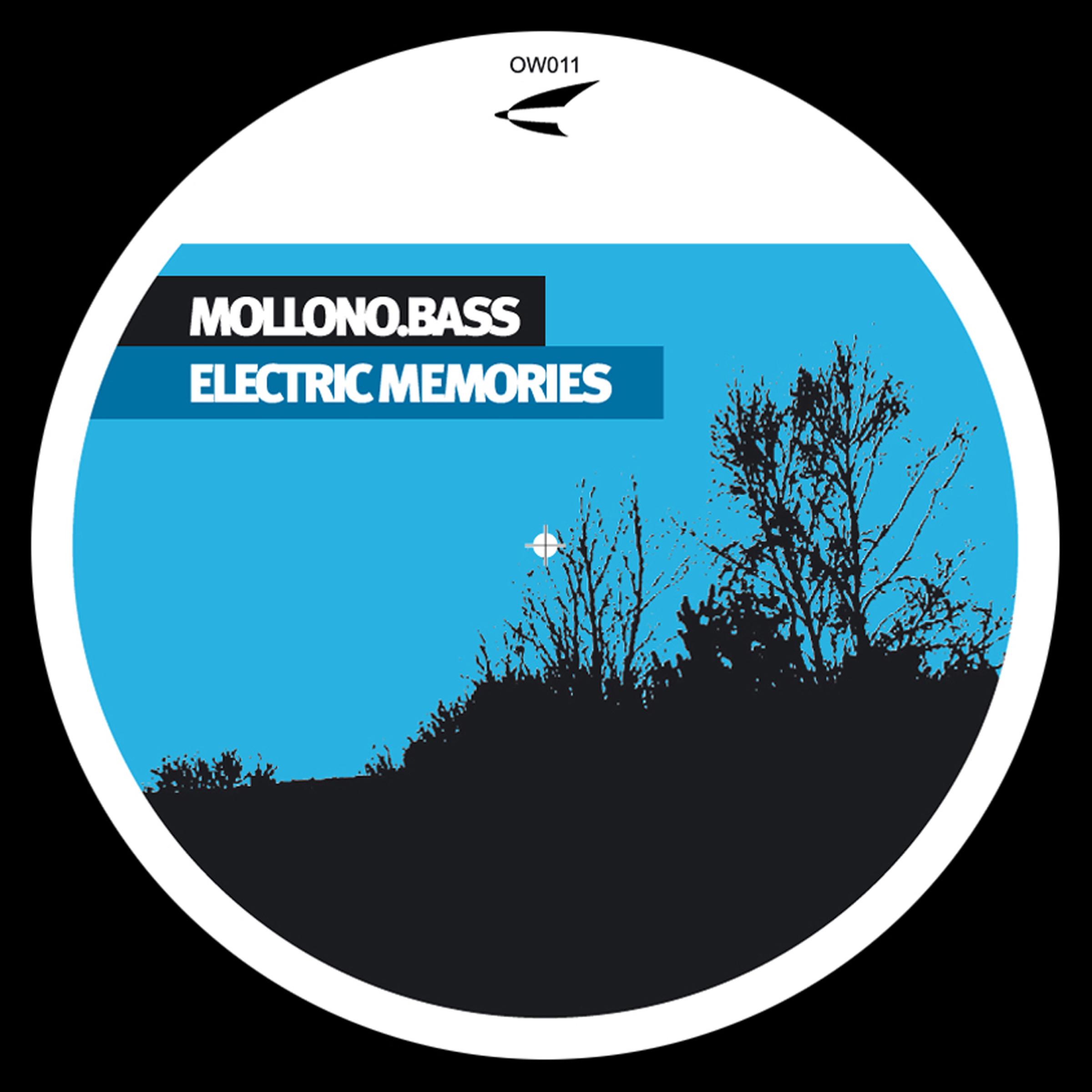 Electric Memories