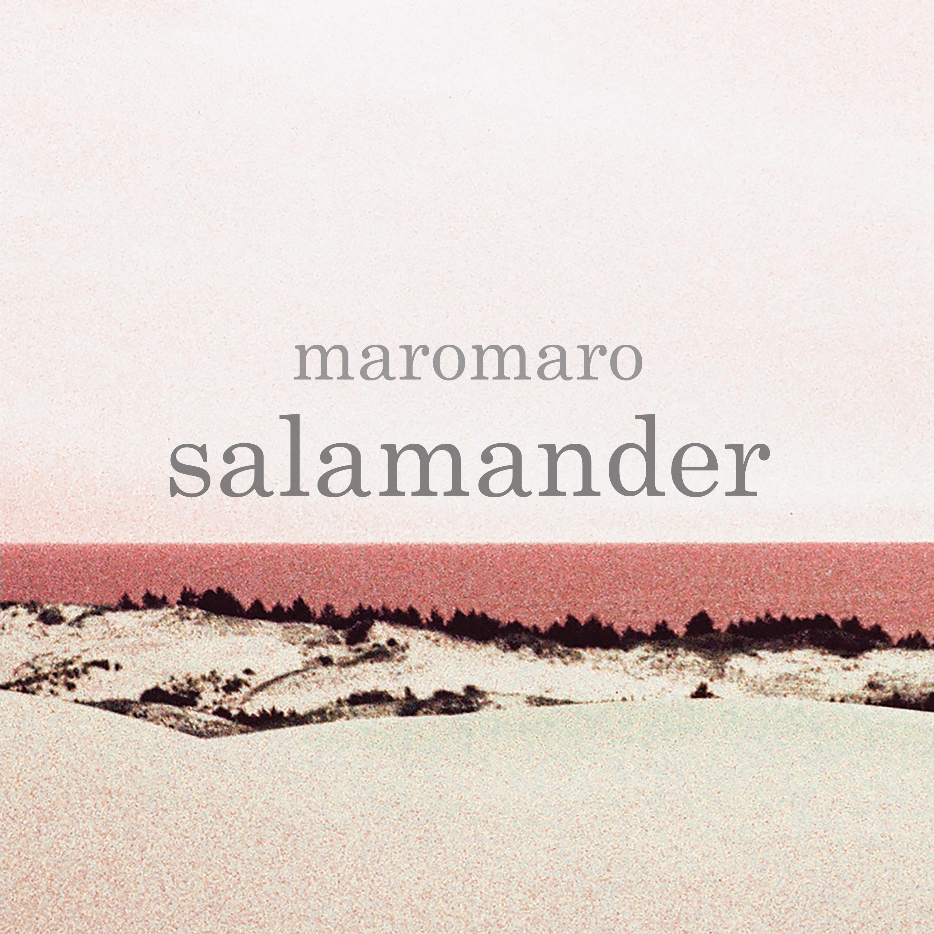 salamander