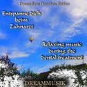 Entspanne dich beim Zahnarzt - Relaxing music during the dental treatment专辑