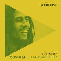 Is This Love - Bob Marley Feat. Lvndscape & Bolier (HT Instrumental) 无和声伴奏