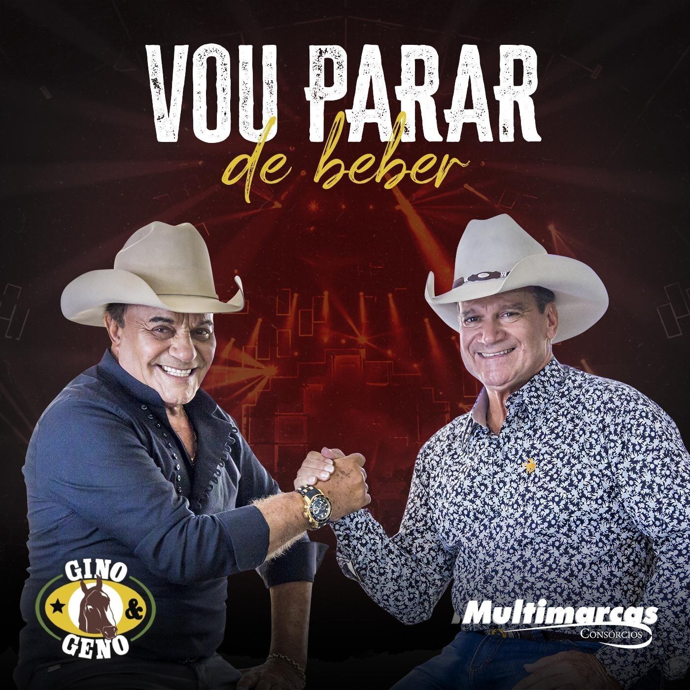 Vou Parar de Beber