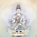 Soft Buddha专辑