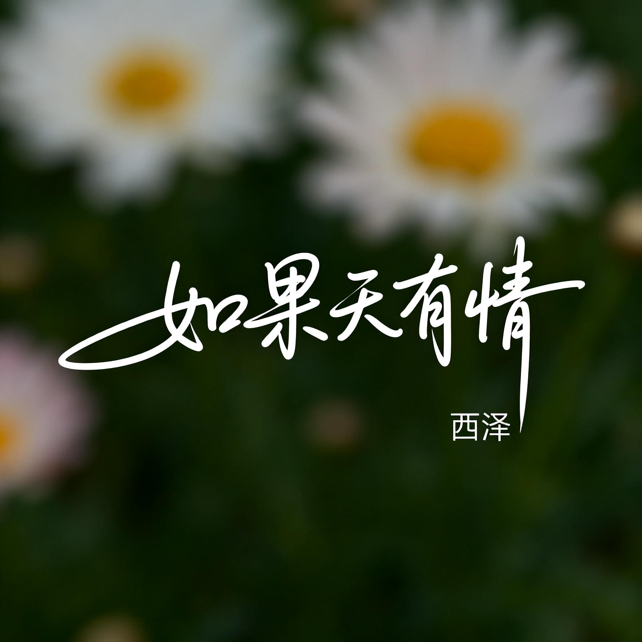 如果天有情(R&B版)