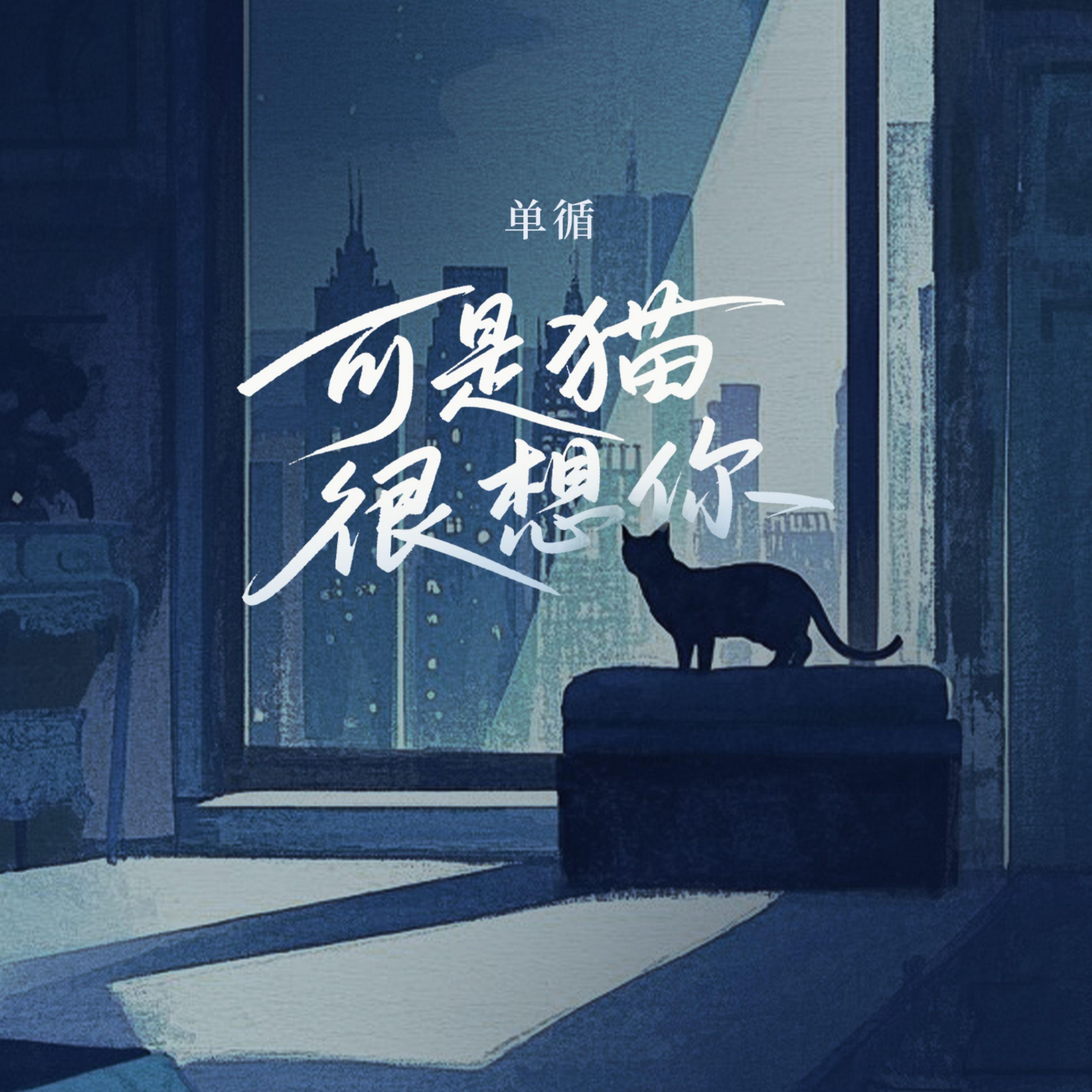 可是猫很想你