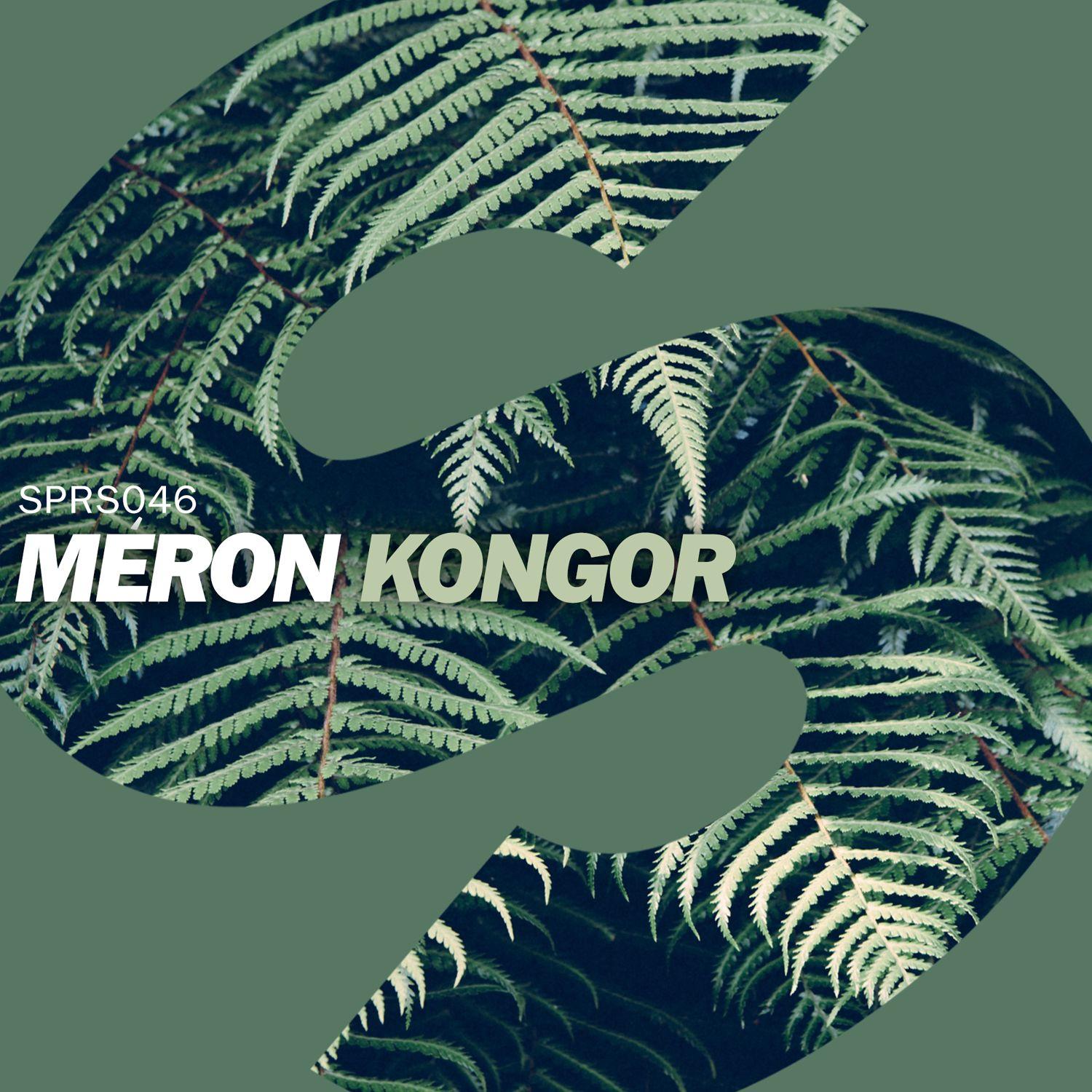 Kongor