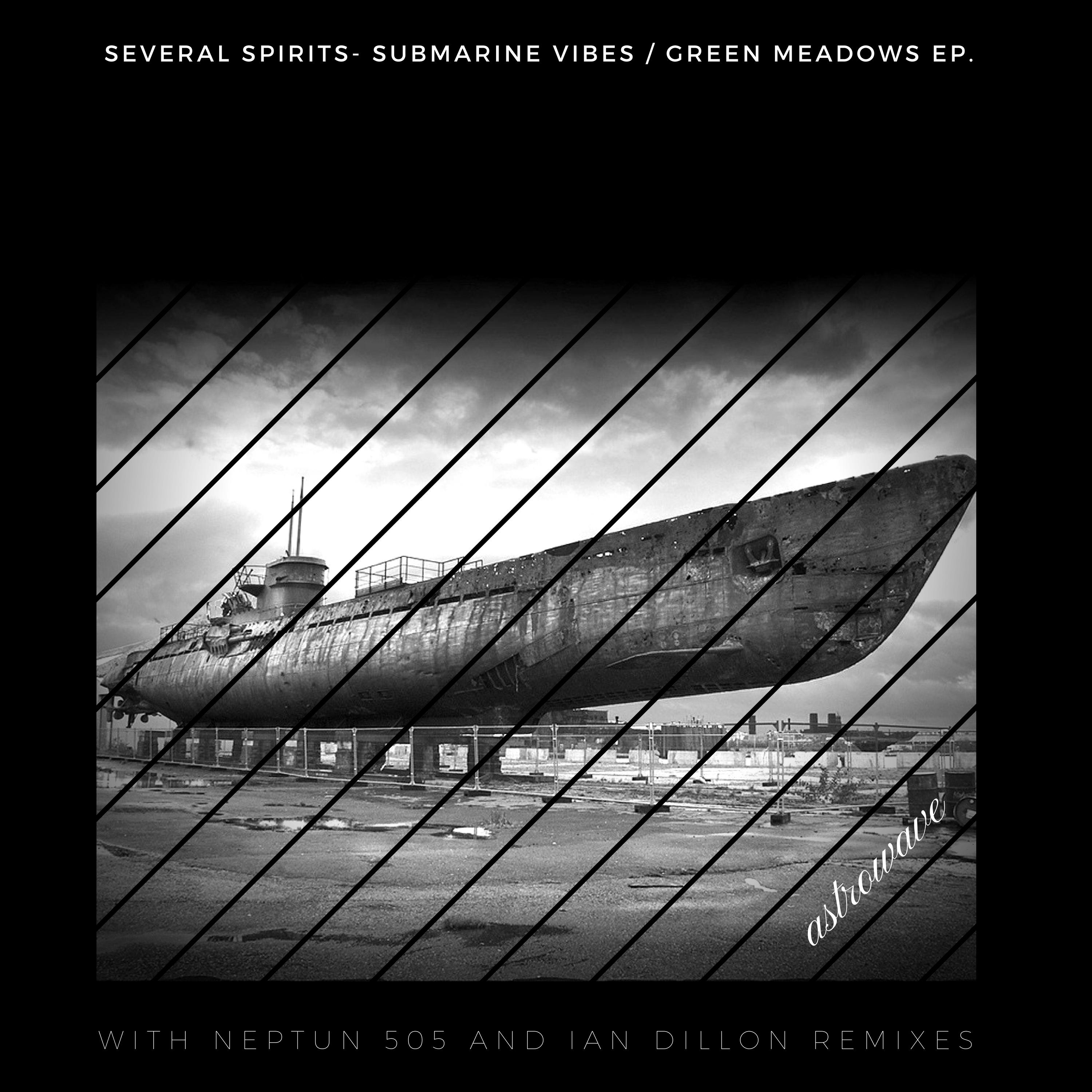 Several Spirits - Green Meadows (Neptun 505 Remix)