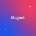 Magnet