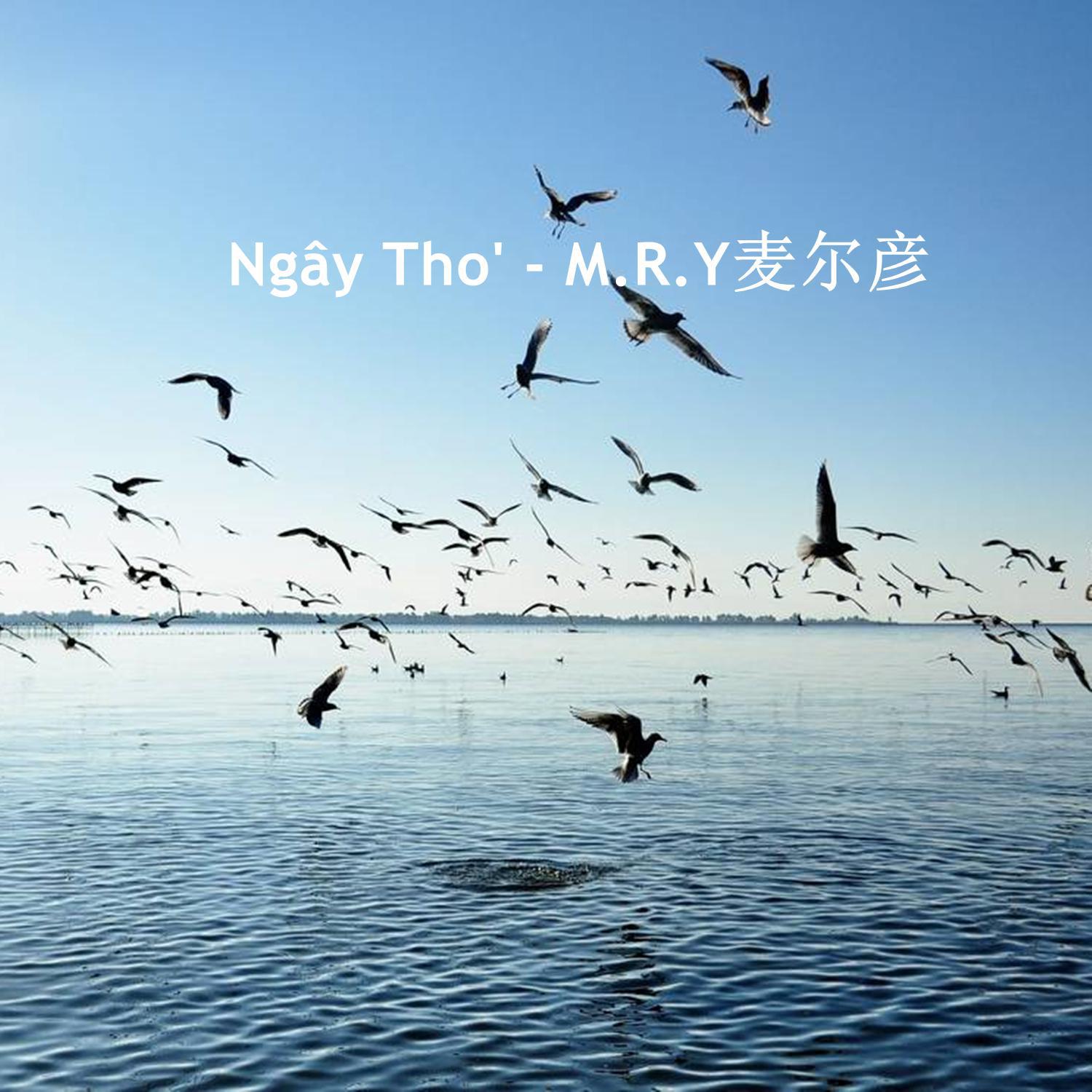 Ngây Tho' - 抖音DJ版