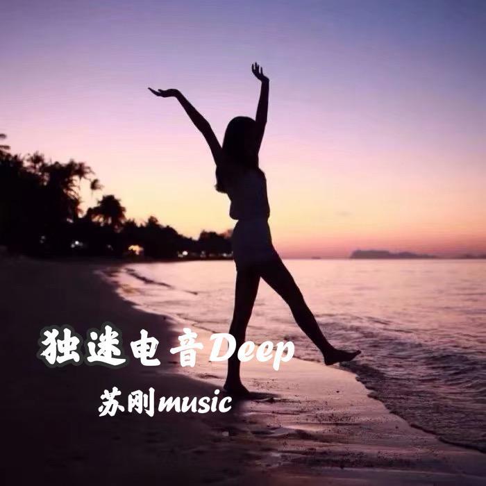 精彩苏刚歌曲封面