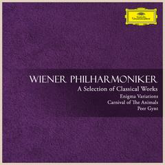 Symphony No. 3 in D Major, D. 200:III. Menuetto (Vivace)