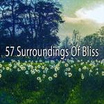 57 Surroundings Of Bliss专辑