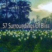 57 Surroundings Of Bliss
