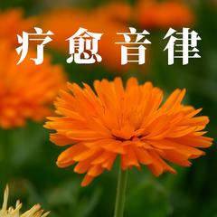 大脑放松 缓解疲劳轻音乐纯音乐