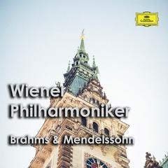 Symphony No. 3 in F Major, Op. 90:IV. Allegro