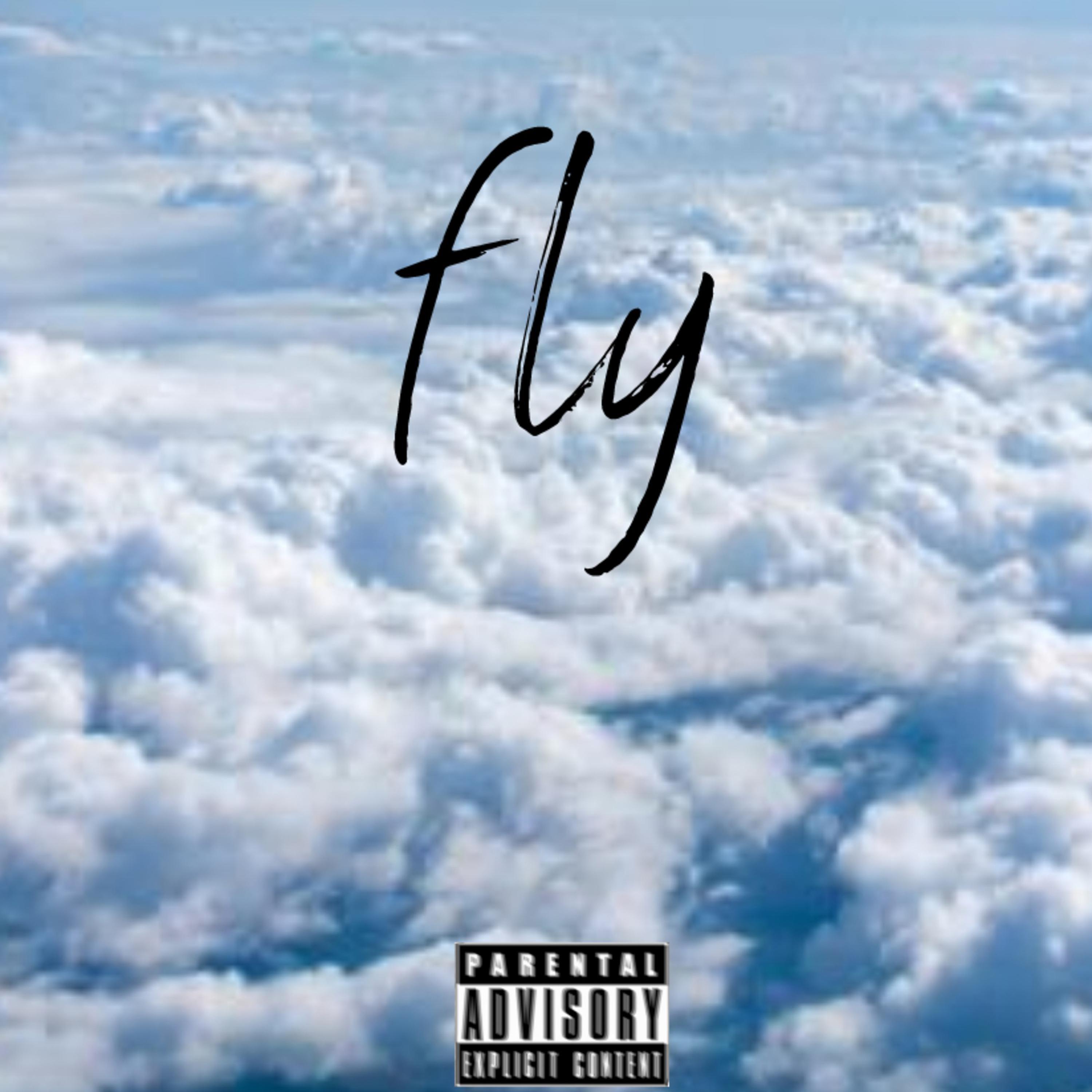 Fly