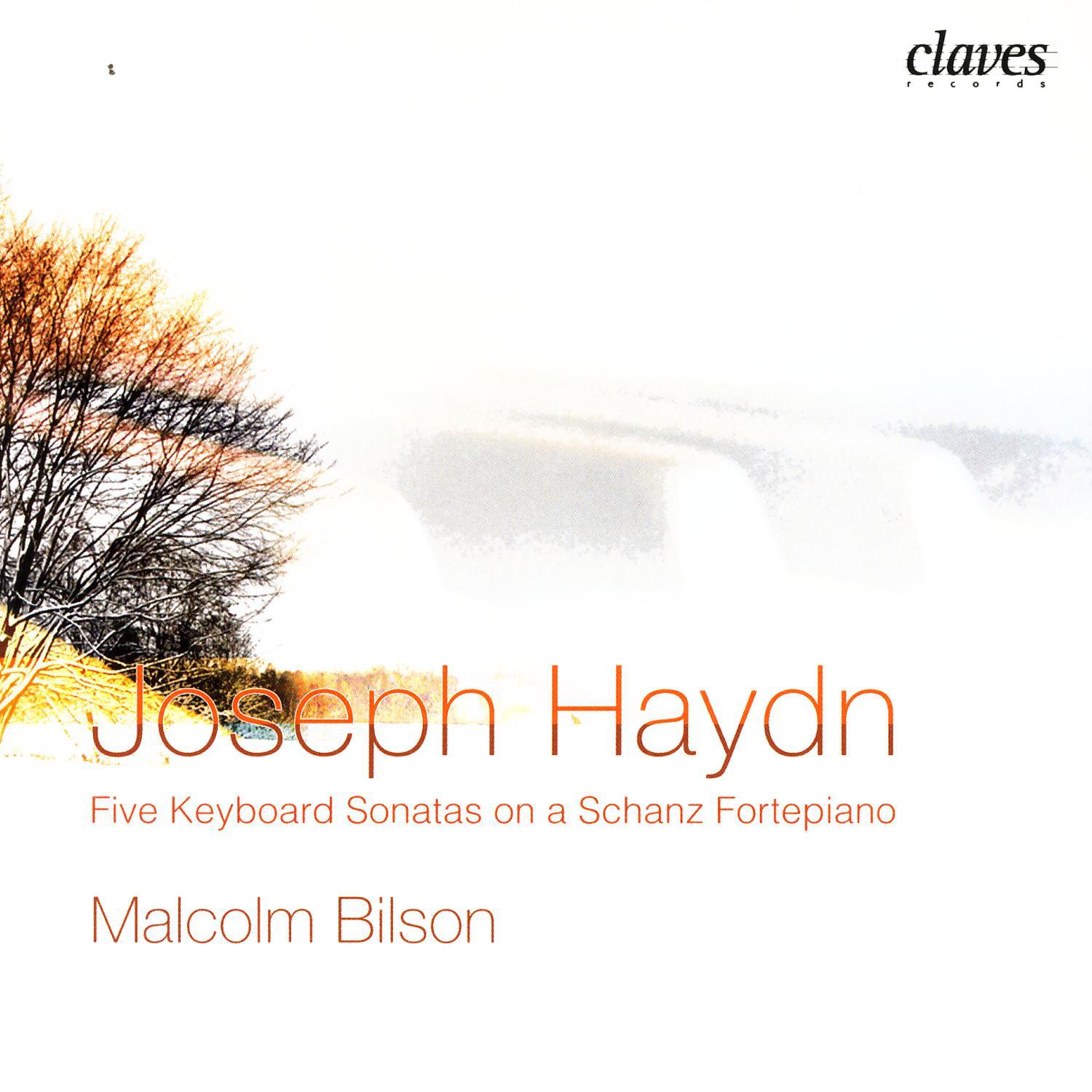 J. Haydn: Five Keyboard Sonatas on a Schanz Fortepiano专辑