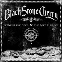 Black Stone Cherry - Blame It on the Boom Boom (Karaoke Version) 带和声伴奏