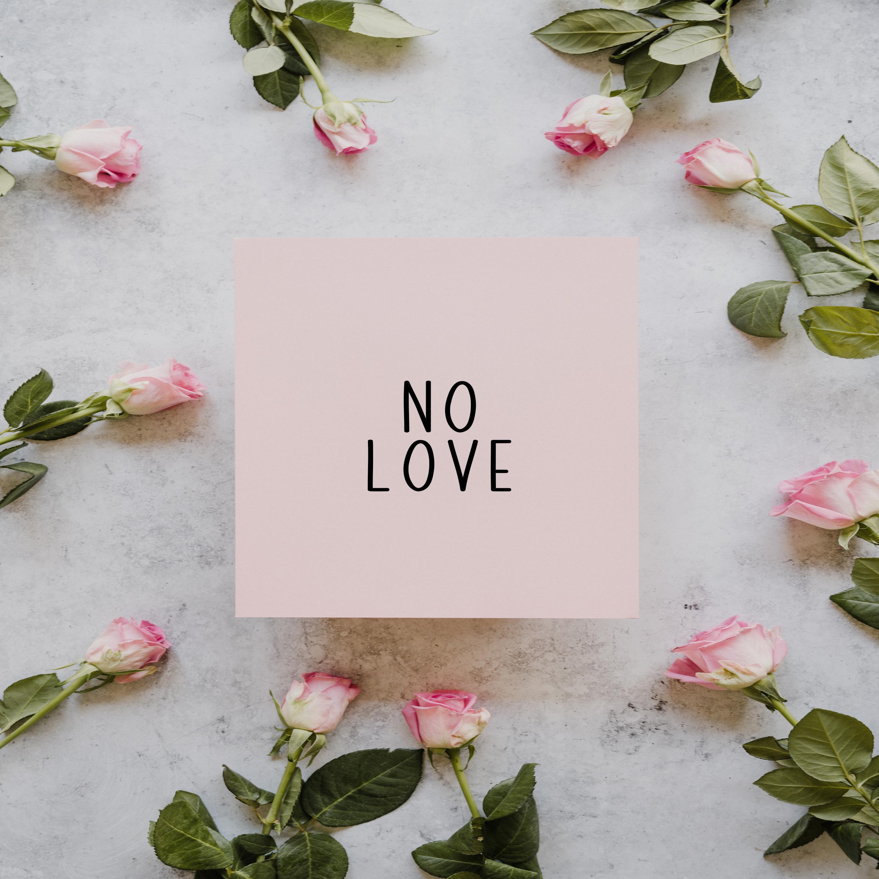 NO LOVE