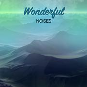 #17 Wonderful Noises for Meditation and Sleep