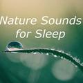 Ambient White Noise for Sleeping