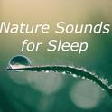 Ambient White Noise for Sleeping专辑