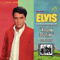 Elvis Presley - Tender Feeling ( Karaoke )