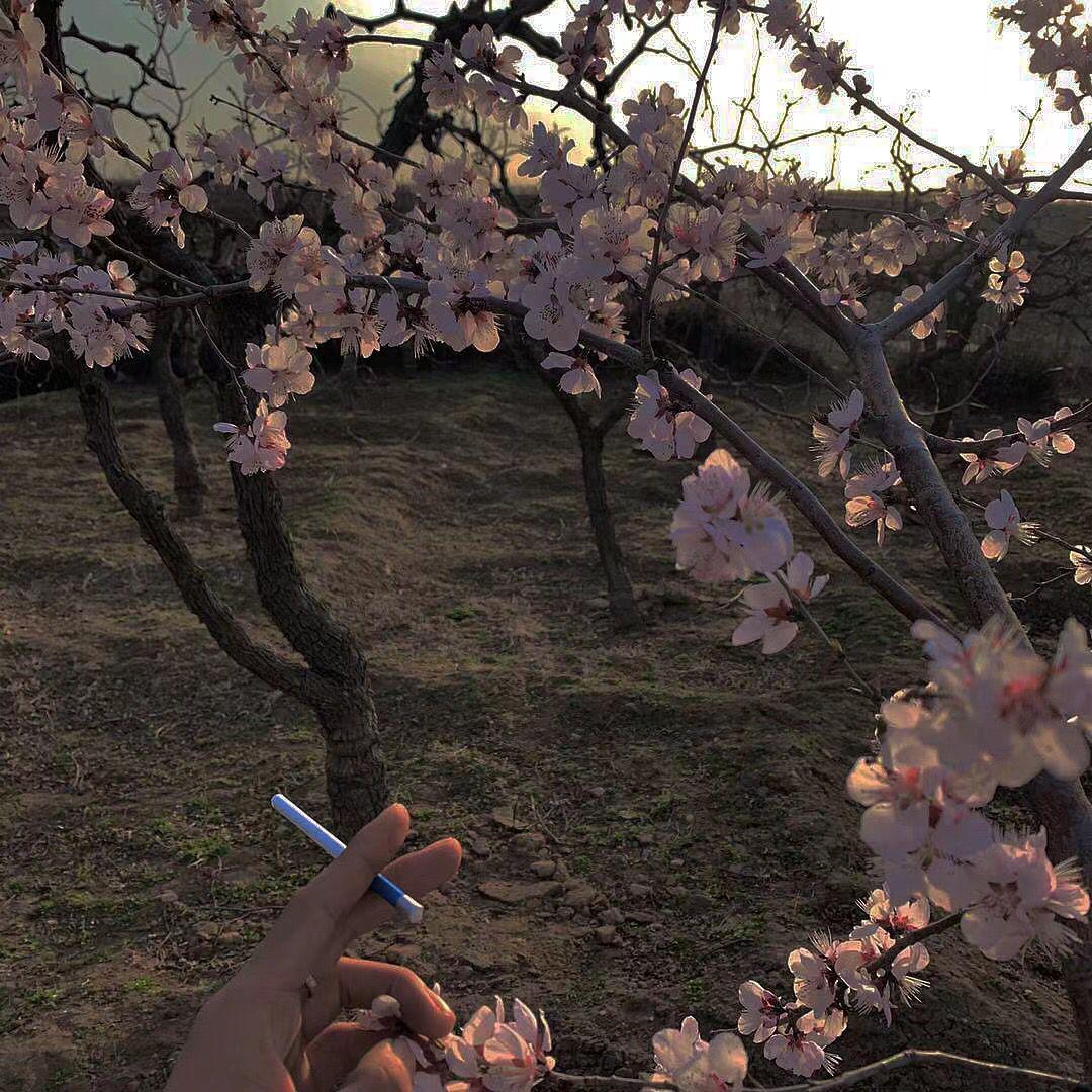 Rihanna - Diamonds （DIPIENS remix）