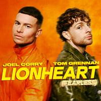 Joel Corry & Tom Grennan - Lionheart (Fearless) (Karaoke Version) 带和声伴奏