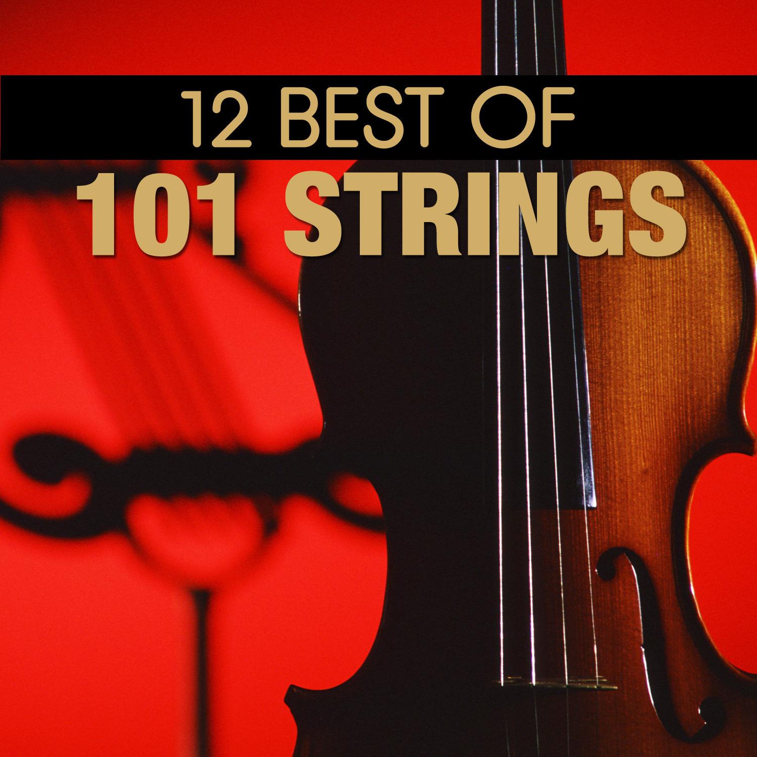 12 Best Of 101 Strings
