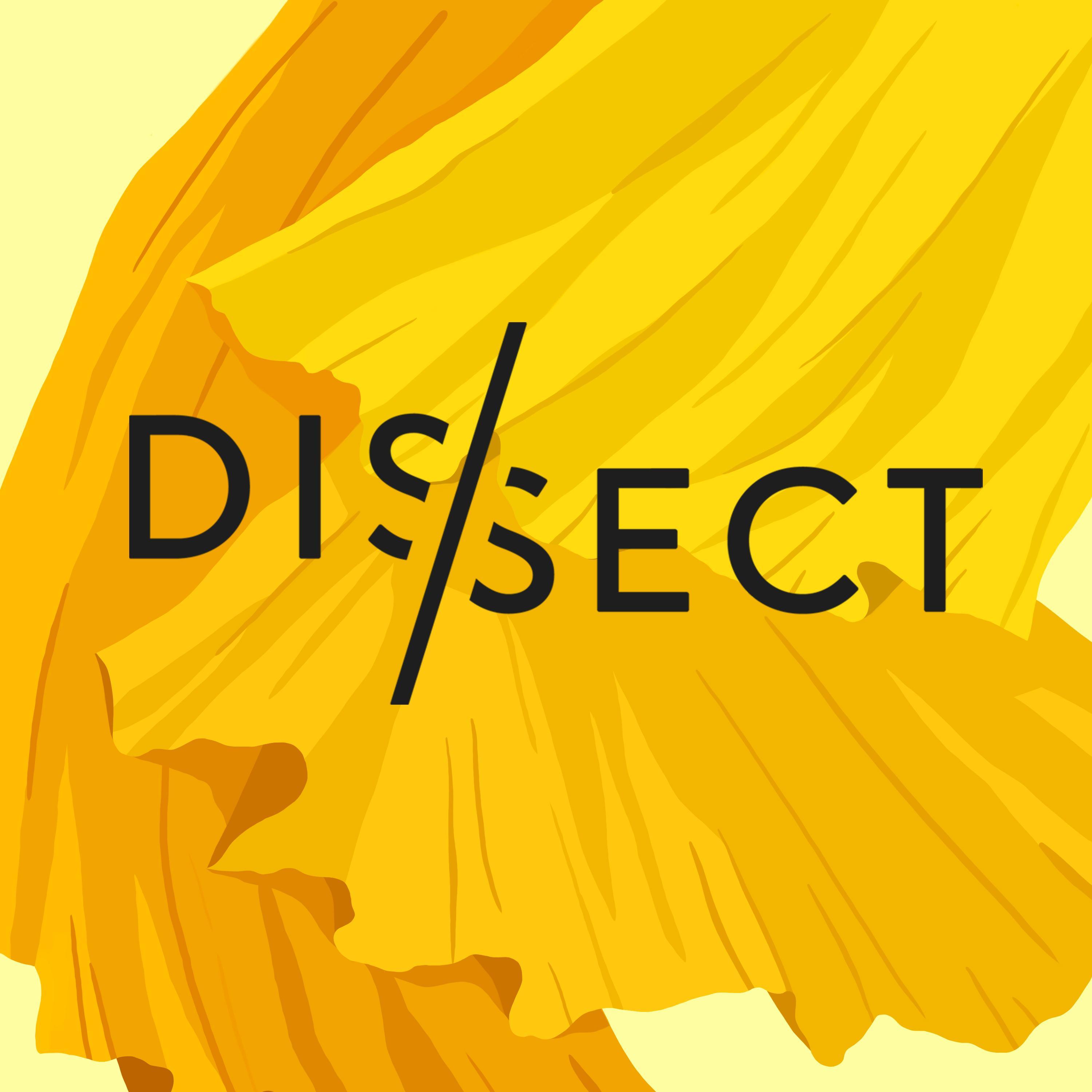 Theme from Dissect S6