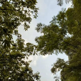 仰望天空 让迷幻变成浪漫