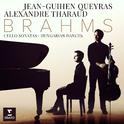 Brahms: Cello Sonatas Nos 1, 2 & 6 Hungarian Dances专辑