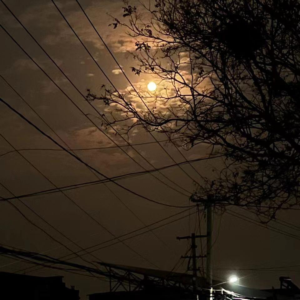 夫因歌曲封面