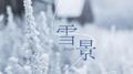 雪景专辑